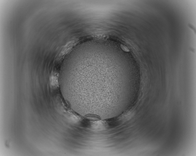 X0000100420432200806131103