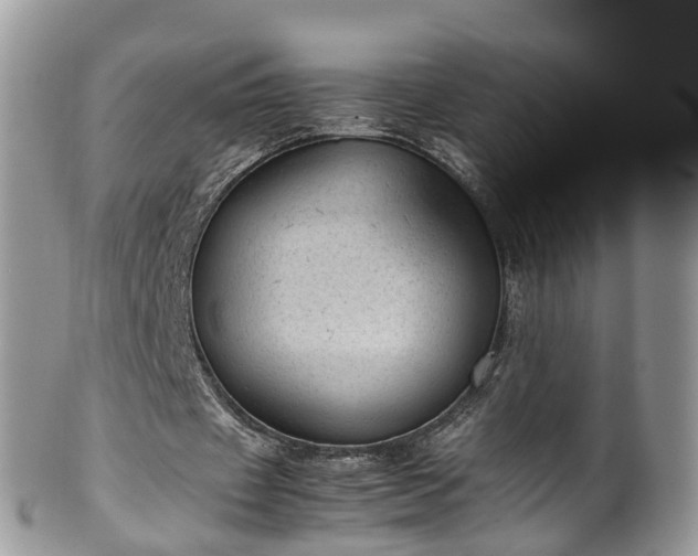 X0000100420433200806131102