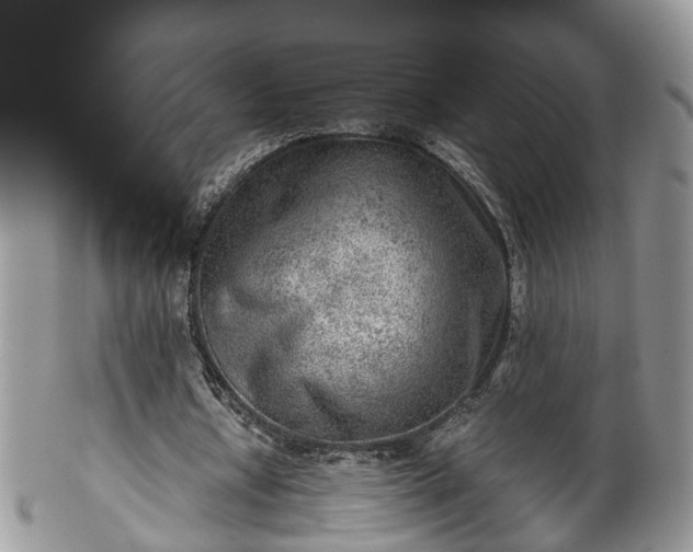 X0000100420434200806131102
