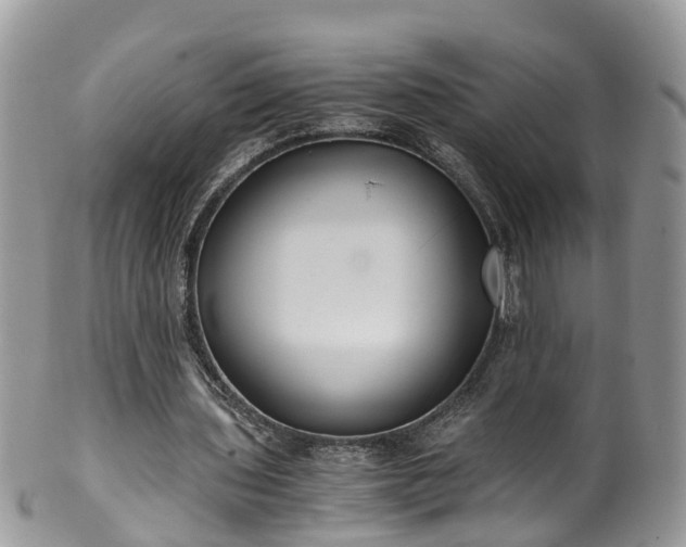 X0000100420435200806131102