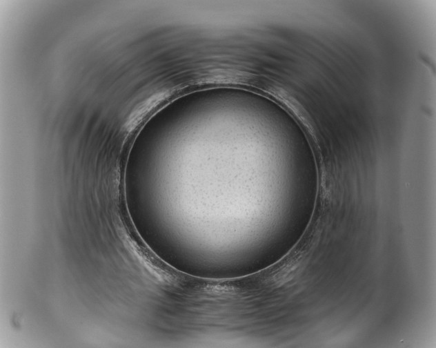 X0000100420437200806131102
