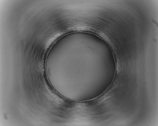 X0000100420438200806131102