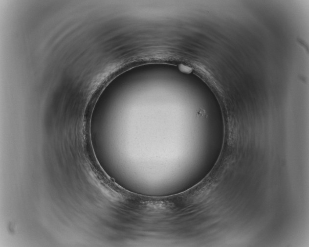 X0000100420439200806131102