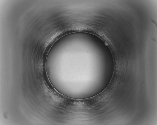 X0000100420440200806131102
