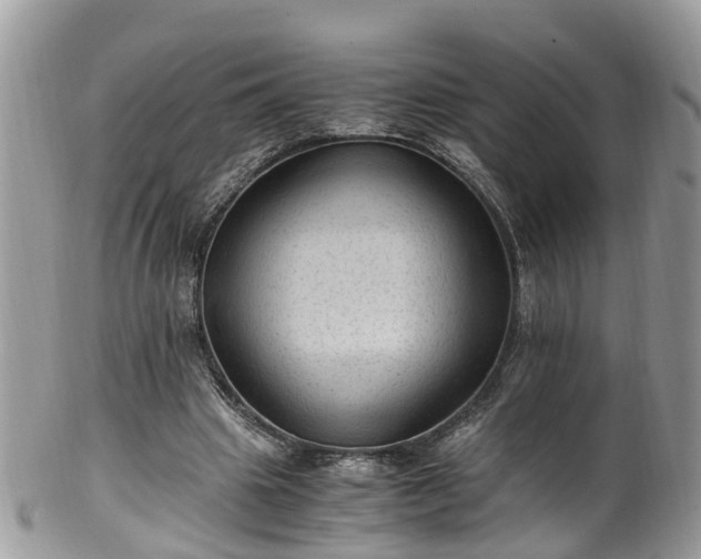 X0000100420441200806131102