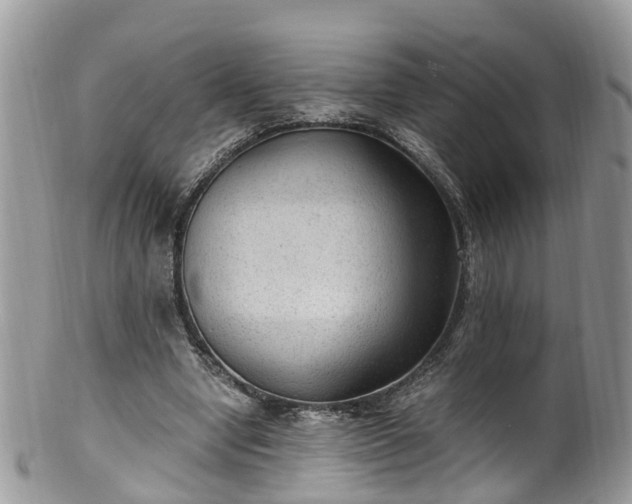 X0000100420442200806131102