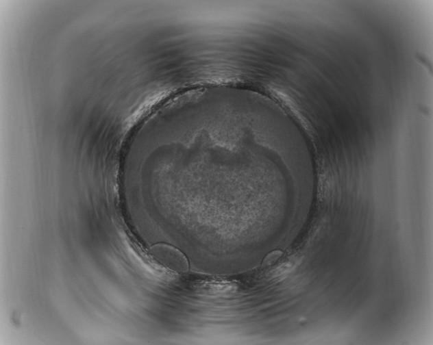 X0000100420443200806131102