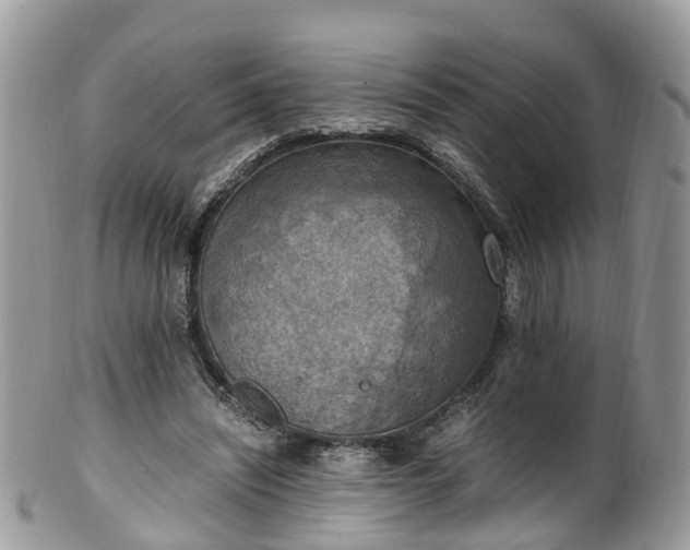X0000100420444200806131102