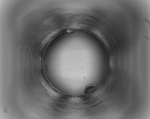 X0000100420445200806131102