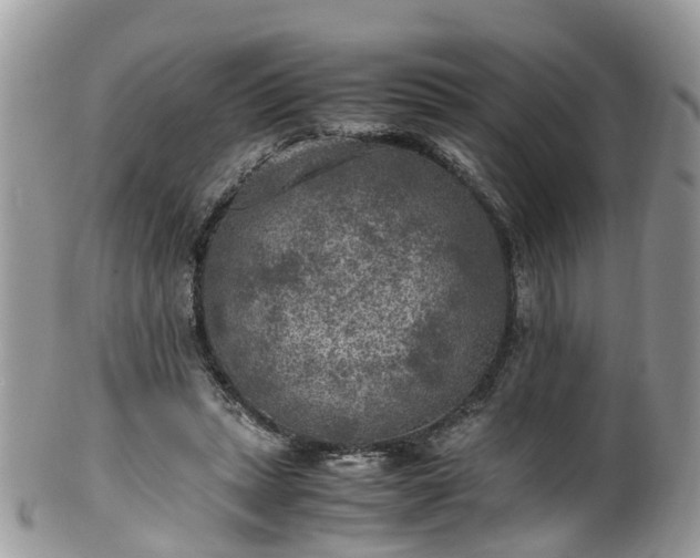 X0000100420447200806131102