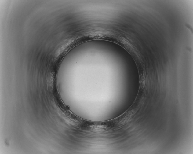 X0000100420448200806131102