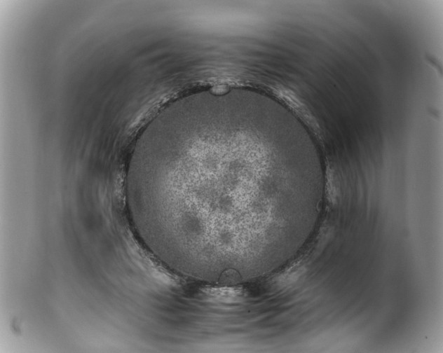 X0000100420449200806131102