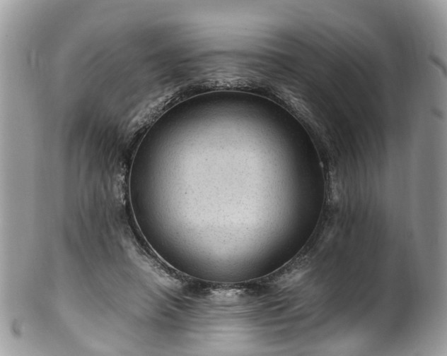 X0000100420450200806131102