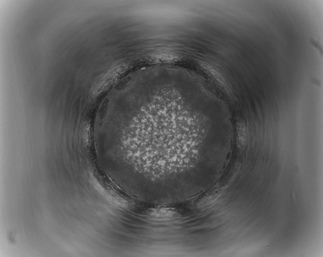 X0000100420451200806131102