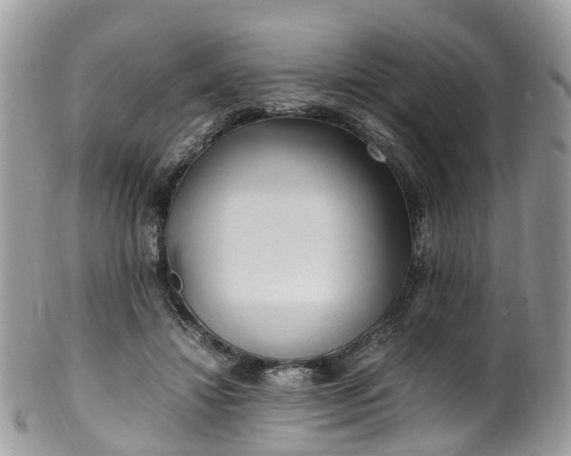 X0000100420452200806131102