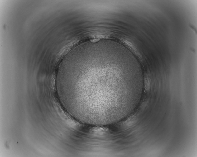X0000100420453200806131102