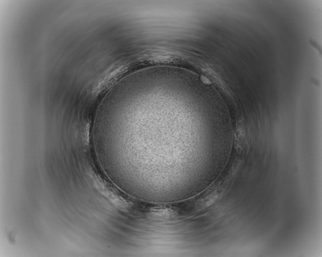 X0000100420454200806131102