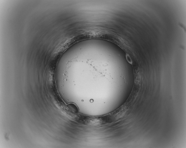 X0000100420456200806131102