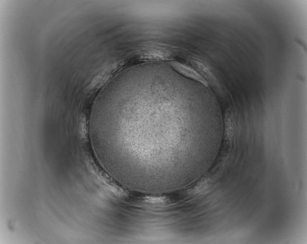 X0000100420457200806131102