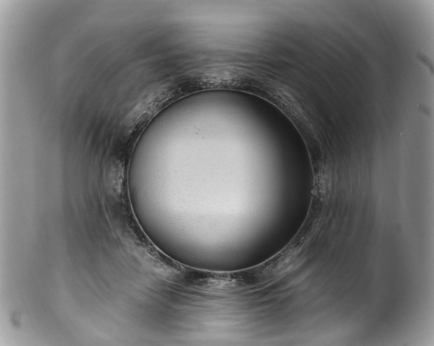X0000100420458200806131102