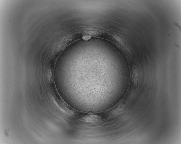 X0000100420459200806131102