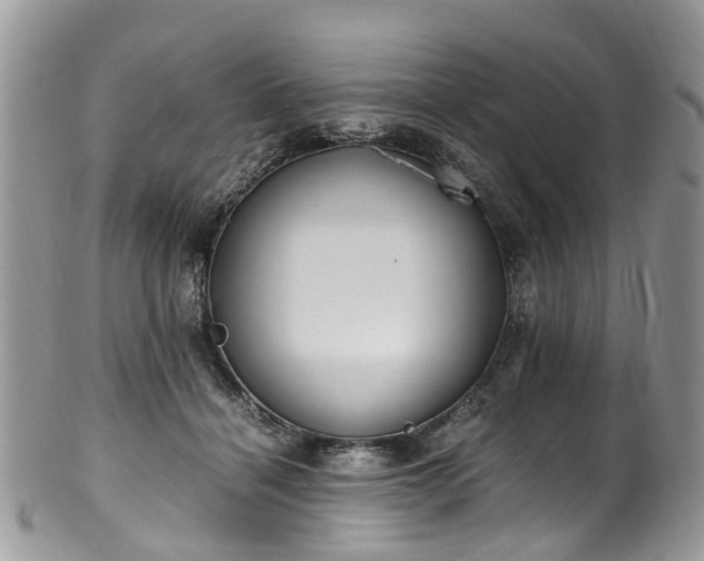 X0000100420460200806131102