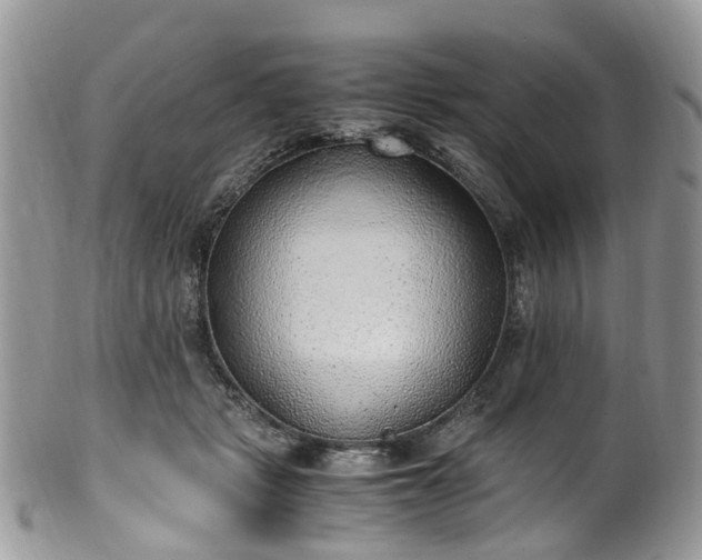 X0000100420461200806131102