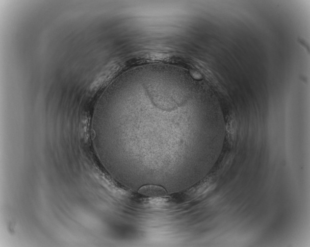 X0000100420462200806131102