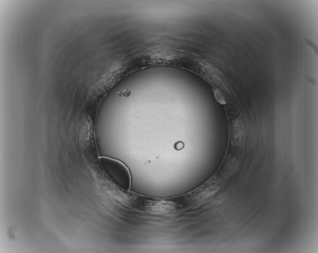 X0000100420463200806131102
