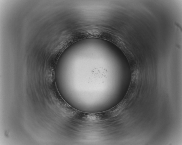X0000100420464200806131102