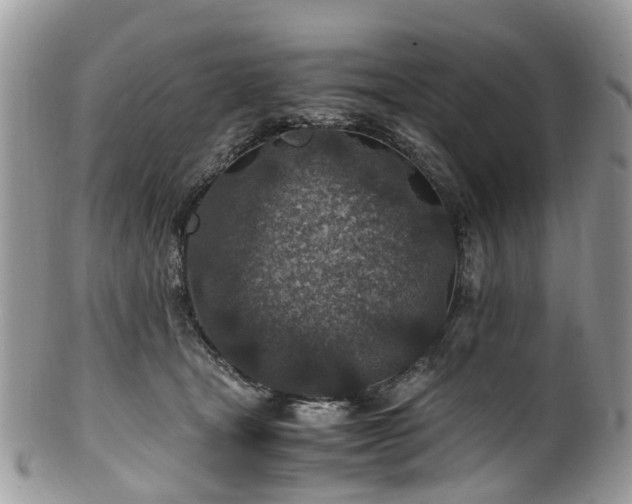 X0000100420465200806131102
