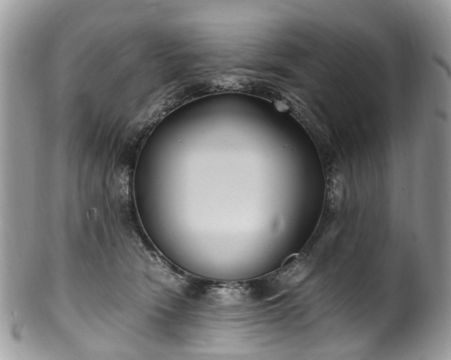 X0000100420466200806131102