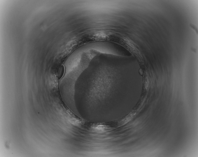 X0000100420467200806131102