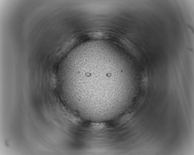 X0000100420469200806131102