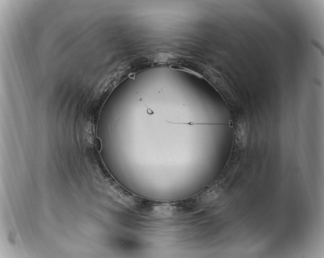 X0000100420470200806131102