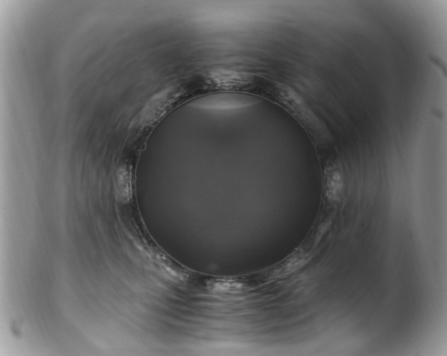 X0000100420471200806131102