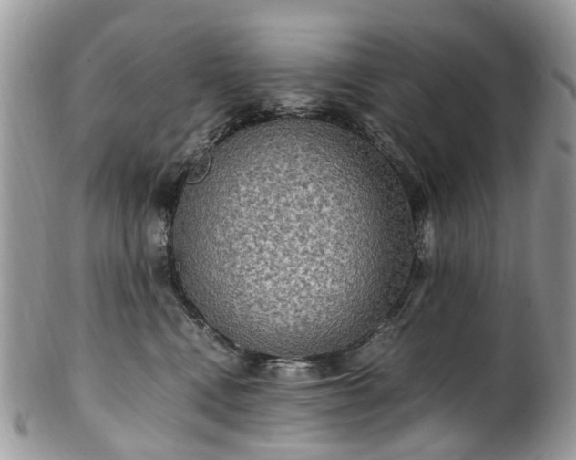 X0000100420472200806131102