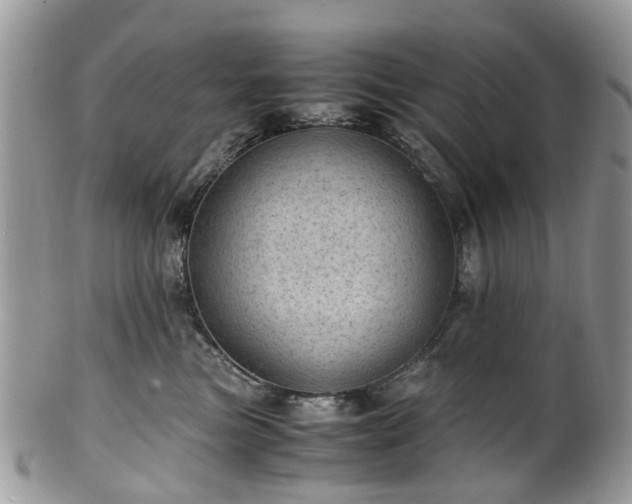 X0000100420473200806131103