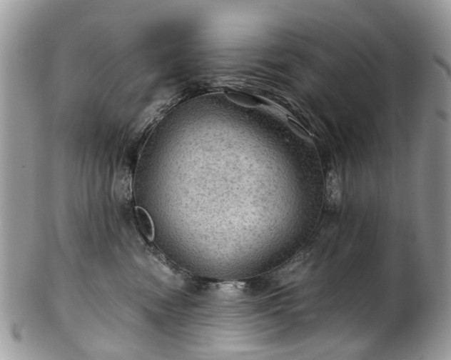 X0000100420474200806131103