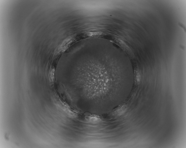 X0000100420475200806131103