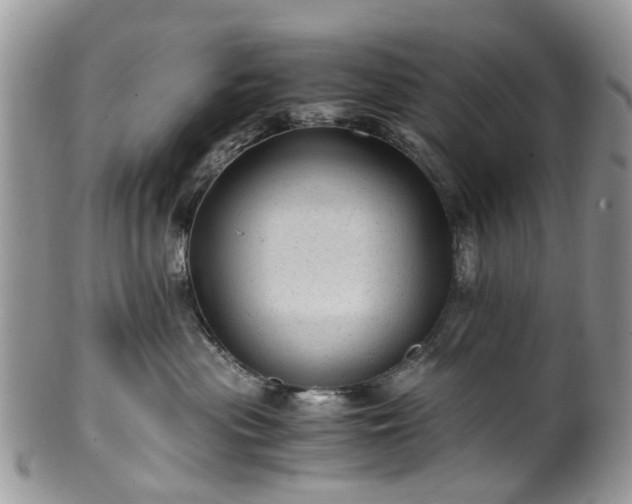 X0000100420477200806131103