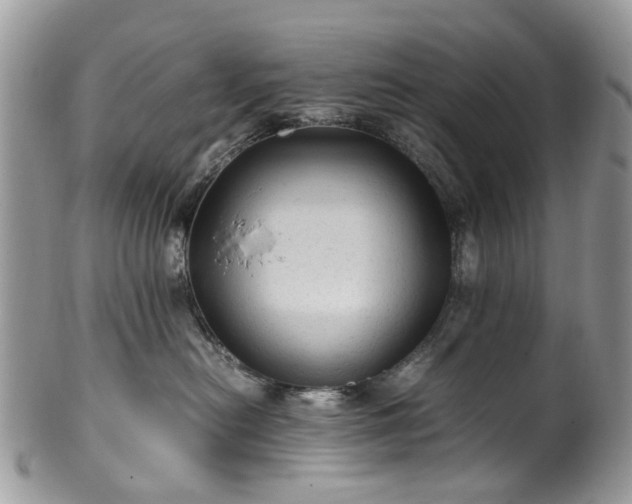X0000100420478200806131103