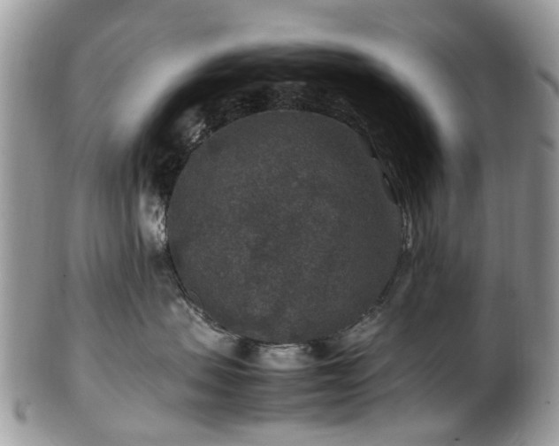 X0000100420479200806131103