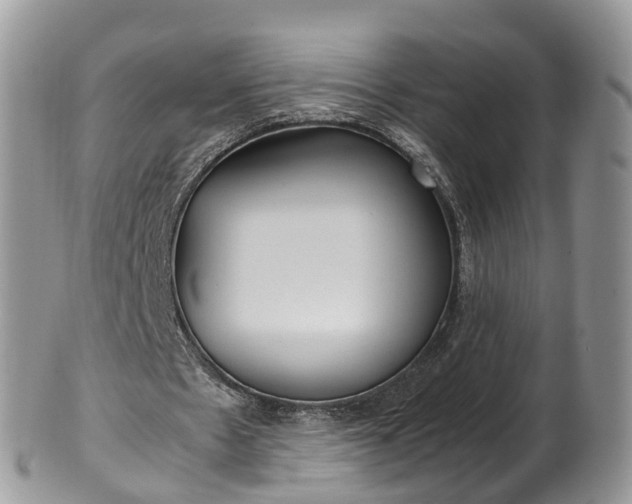 X0000100420481200806131102
