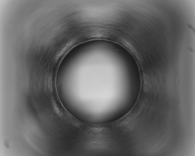X0000100420482200806131102