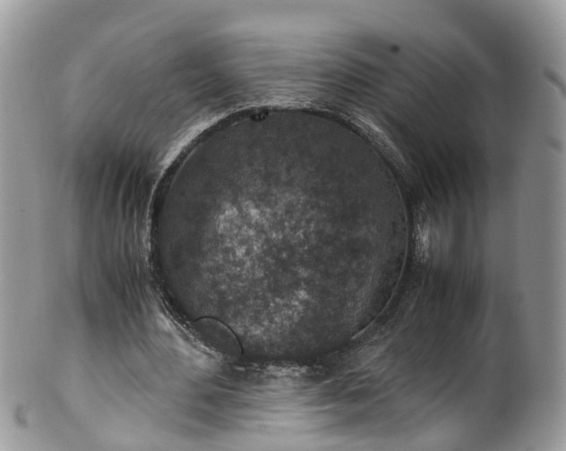 X0000100420484200806131102