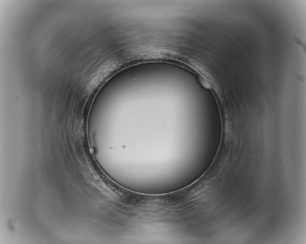X0000100420485200806131102