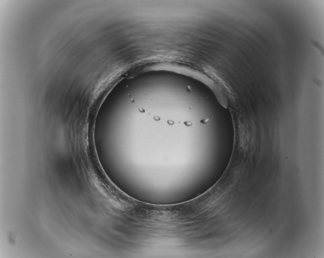 X0000100420486200806131102