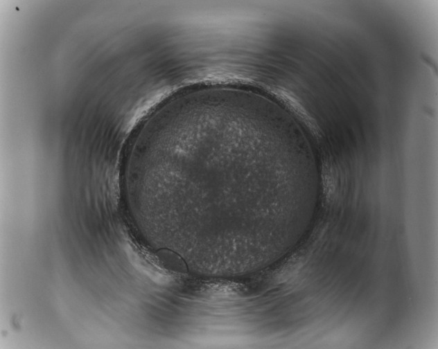 X0000100420488200806131102