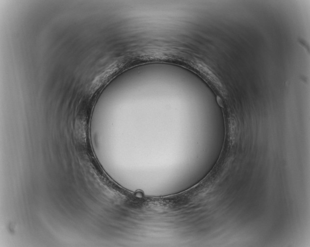 X0000100420489200806131102
